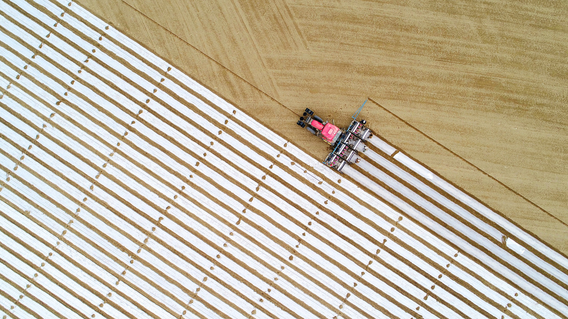 Spring Harvest Begins: China’s Tech-Driven Farming Boom 🌾