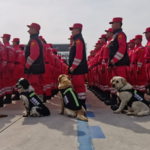 UPHZ5Q7Q1ZLOI94DQPWF - 🌍NewspaperAmigo – Your Global News Buddy 🗞️ 🇨🇳 Heroes Return! Chinese Rescuers Wrap Up Myanmar Quake Mission 🚨 video poster
