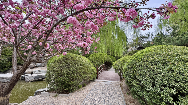 🌿🎌 Beijing's Secret Garden Oasis Blends Chinese & Japanese Artistry video poster