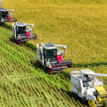 XYW4A7G6WZT1WSVN1UNG - 🌍NewspaperAmigo – Your Global News Buddy 🗞️ 🌱 China's Green Revolution: Ambitious Plan to Transform Rural Futures by 2035