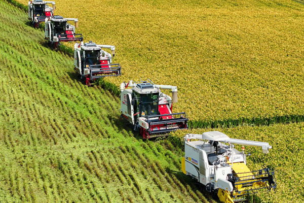 🌱 China’s Green Revolution: Ambitious Plan to Transform Rural Futures by 2035 🌱 China's Green Revolution: Ambitious Plan to Transform Rural Futures by 2035