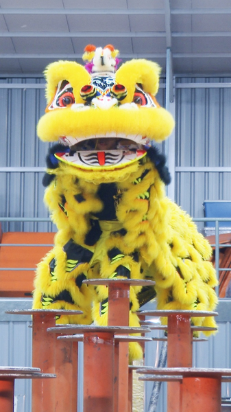 YN69DA7XG8ZYS50EK20N - 🌍NewspaperAmigo – Your Global News Buddy 🗞️ 🦁✨ First-Person Thrills: Lion Dance Goes Extreme in Malaysia! video poster