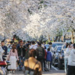 Z1SILWGPJJMR5PQHFG9A - 🌍NewspaperAmigo – Your Global News Buddy 🗞️ China's Qingming Holiday Rush Set to Break Travel Records 🚄✈️