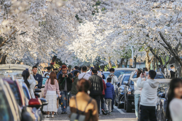 China's Qingming Holiday Rush Set to Break Travel Records 🚄✈️