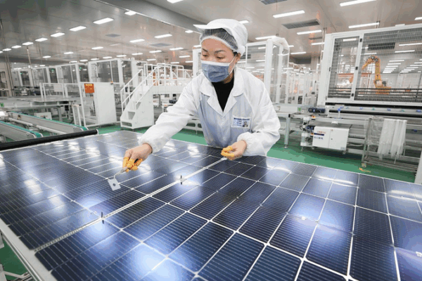 China Energizes Private Sector in Green Energy Transition ⚡🌱