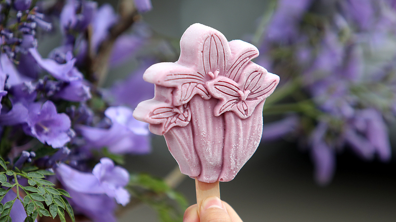 Floral Popsicles Bloom as Must-Have Travel Snacks 🌸🍧