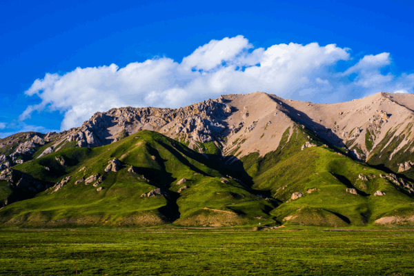China Launches Major Climate Study at Yellow River Source 🌏🔬