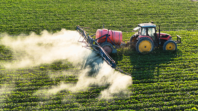 Xinjiang's Tech-Driven Cotton Farms Boom During Golden Week 🌾🤖 video poster
