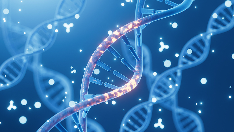 Gene Twist Doubles Men’s Dementia Risk, Study Finds 🧠👨🔬