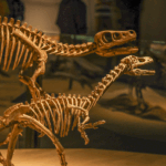 1NGXVIZRHFLDO9AQ8VAE - 🌍NewspaperAmigo – Your Global News Buddy 🗞️ 🦕 Shanghai Dino Expo Unlocks Earth's Ancient Secrets! 🌍