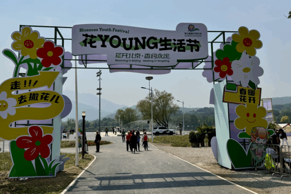 Beijing’s Blossom Youth Festival: Where Roses Meet Modern Culture 🌹✨ Beijing's Blossom Youth Festival: Where Roses Meet Modern Culture 🌹✨ video poster