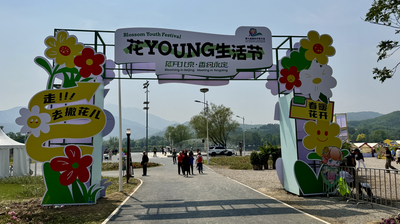 1WLFBB6QUBA8HT2SAZBJ - 🌍NewspaperAmigo – Your Global News Buddy 🗞️ Beijing's Blossom Youth Festival: Where Roses Meet Modern Culture 🌹✨ video poster