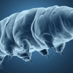 Chinese Scientists Create 'Ice Tattoos' for Medical Breakthroughs 🧊💉