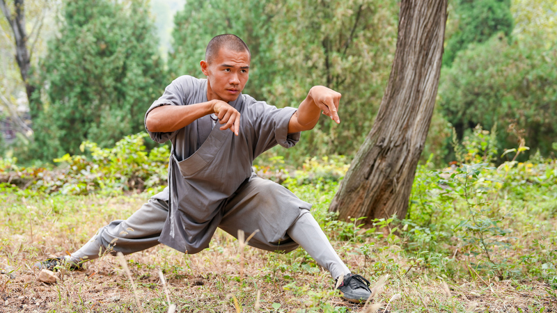 Shaolin Kung Fu’s Animal Moves Unleash Nature’s Power 🐯🥋 Shaolin Kung Fu’s Animal Moves Unleash Nature’s Power 🐯🥋