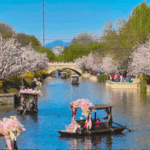 🌿 Beijing’s Air Quality Hits Record Highs in China’s Green Revolution