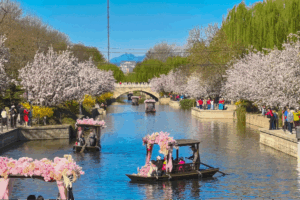 🌿 Beijing’s Air Quality Hits Record Highs in China’s Green Revolution