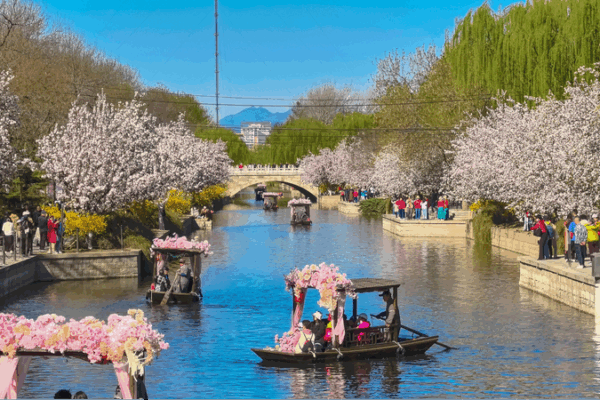 🌿 Beijing’s Air Quality Hits Record Highs in China’s Green Revolution 🌿 Beijing’s Air Quality Hits Record Highs in China’s Green Revolution