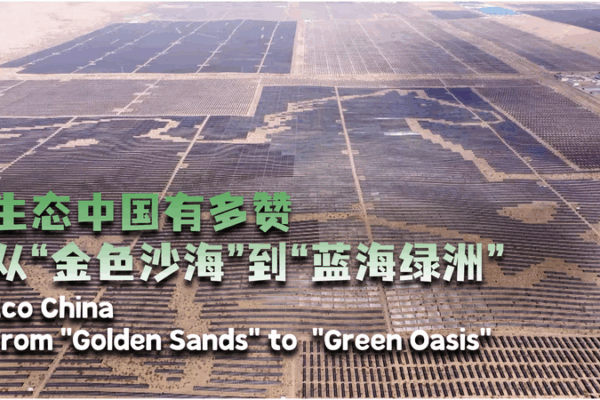 Galloping Solar Horse Powers China’s Green Revolution 🌞🐎 Galloping Solar Horse Powers China's Green Revolution 🌞🐎 video poster