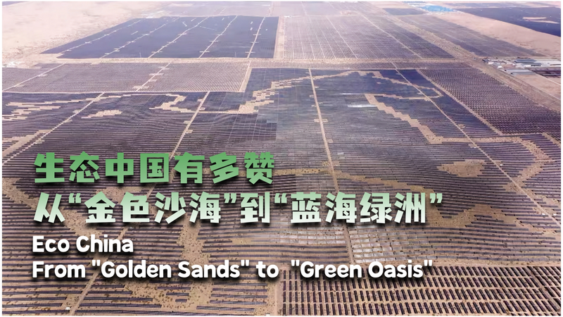 Galloping Solar Horse Powers China's Green Revolution 🌞🐎 video poster