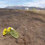 7RW33CSF6TO93AV4SLLV - 🌍NewspaperAmigo – Your Global News Buddy 🗞️ Tour Bus Crash Near Yellowstone Claims Seven, Including Five Chinese Tourists 🌍🚌 video poster
