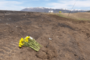 Tour Bus Crash Near Yellowstone Claims Seven, Including Five Chinese Tourists 🌍🚌 video poster