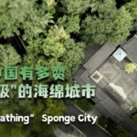 80NHPX1Z5OOH41JSR37F - 🌍NewspaperAmigo – Your Global News Buddy 🗞️ Chongqing's 'Sponge City' Revolution: Breathing New Life into Urban Design 🌱💧 video poster