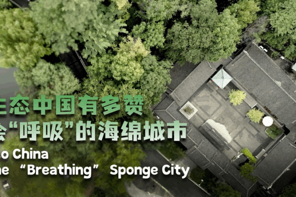 Chongqing’s ‘Sponge City’ Revolution: Breathing New Life into Urban Design 🌱💧 Chongqing's 'Sponge City' Revolution: Breathing New Life into Urban Design 🌱💧 video poster