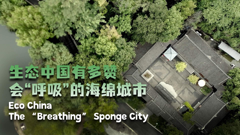 Chongqing's 'Sponge City' Revolution: Breathing New Life into Urban Design 🌱💧 video poster