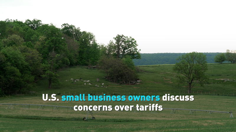US Small Businesses Grapple with Tariff Trade-offs 🪵💰 US Small Businesses Grapple with Tariff Trade-offs 🪵💰 video poster