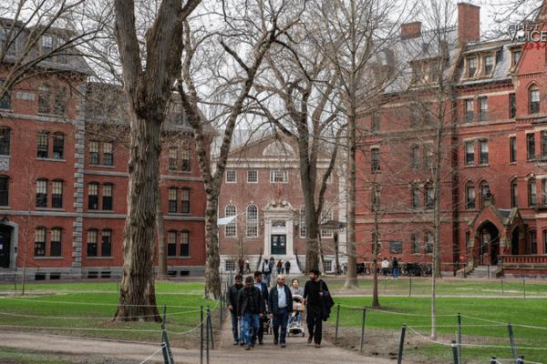 Harvard vs. U.S. Gov: Education Caught in Political Crossfire 🎓⚖️ Harvard vs. U.S. Gov: Education Caught in Political Crossfire 🎓⚖️