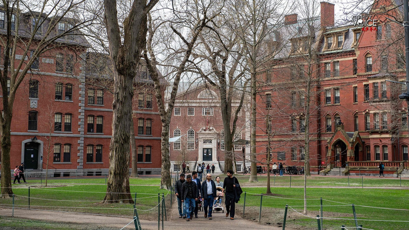 Harvard vs. U.S. Gov: Education Caught in Political Crossfire 🎓⚖️
