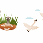 From Denmark to China: How 'The Ugly Duckling' Bridges Cultures 🦢📚