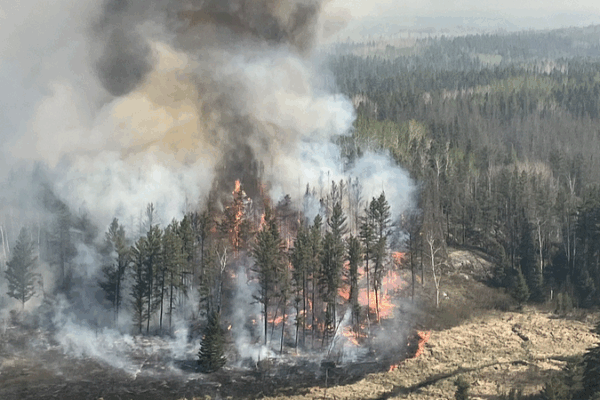 Wildfires Threaten Global Forest Recovery 🌳🔥, Study Reveals Wildfires Threaten Global Forest Recovery 🌳🔥, Study Reveals