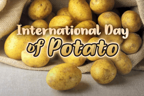 Spud-tacular! ππ₯ UN Declares International Day of Potato Spud-tacular! ππ₯ UN Declares International Day of Potato
