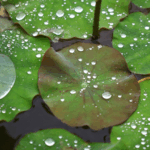 APIZZRLJI4NJGGH7W8UF - 🌍NewspaperAmigo – Your Global News Buddy 🗞️ China Braces for Heavy Rainstorms, Issues Emergency Alerts 🌧️⚠️