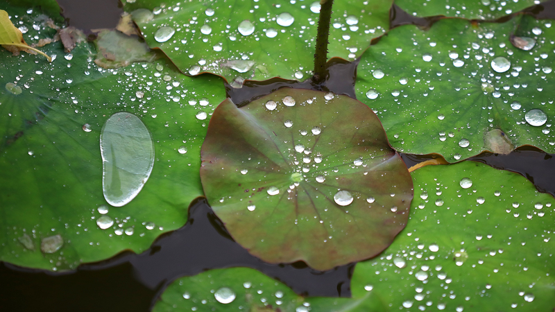 APIZZRLJI4NJGGH7W8UF - 🌍NewspaperAmigo – Your Global News Buddy 🗞️ China Braces for Heavy Rainstorms, Issues Emergency Alerts 🌧️⚠️