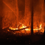 B9XP554P660A7KG378HX - 🌍NewspaperAmigo – Your Global News Buddy 🗞️ Wildfire Smoke Deaths Surge: Climate Crisis Costs U.S. Billions 🌎🔥
