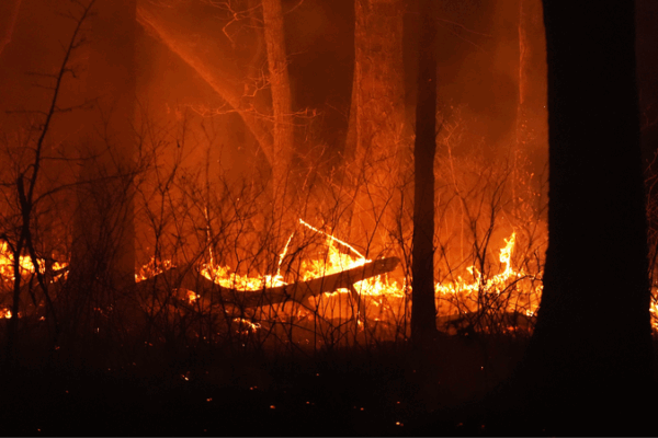 Wildfire Smoke Deaths Surge: Climate Crisis Costs U.S. Billions ππ₯ Wildfire Smoke Deaths Surge: Climate Crisis Costs U.S. Billions ππ₯