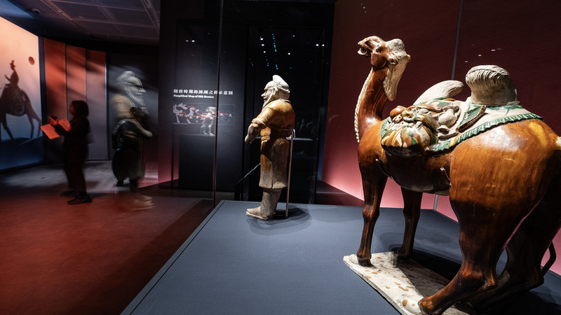 How Museums Are Saving Culture in the Digital Age 🏛️💡 How Museums Are Saving Culture in the Digital Age 🏛️💡 video poster