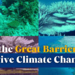 CARHRDC7RQLHMJ8EODB0 - 🌍NewspaperAmigo – Your Global News Buddy 🗞️ Great Barrier Reef in Crisis: Can It Beat Climate Change? 🌊🔥 video poster