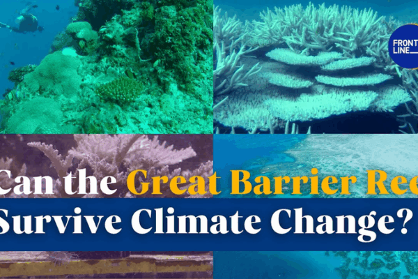 Great Barrier Reef in Crisis: Can It Beat Climate Change? ๐๐ฅ Great Barrier Reef in Crisis: Can It Beat Climate Change? ๐๐ฅ video poster