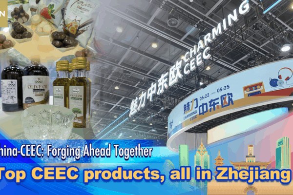 Zhejiang’s CEEC Expo Showcases Global Treasures 🌍✨ Zhejiang's CEEC Expo Showcases Global Treasures 🌍✨ video poster