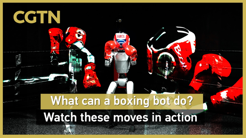 CL6GCBVBM00R55Q6KQ08 - 🌍NewspaperAmigo – Your Global News Buddy 🗞️ 🤖🥊 World’s First Humanoid Boxing Bots Throw Down in Hangzhou! video poster