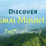 CRTJ1GM37F4ZDIKNG2T0 - 🌍NewspaperAmigo – Your Global News Buddy 🗞️ Sip, Savor, Serenity: Jingmai Mountain’s Tea Culture Beckons 🌿✨ video poster