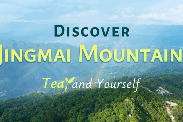 Sip, Savor, Serenity: Jingmai Mountain’s Tea Culture Beckons 🌿✨ Sip, Savor, Serenity: Jingmai Mountain’s Tea Culture Beckons 🌿✨ video poster