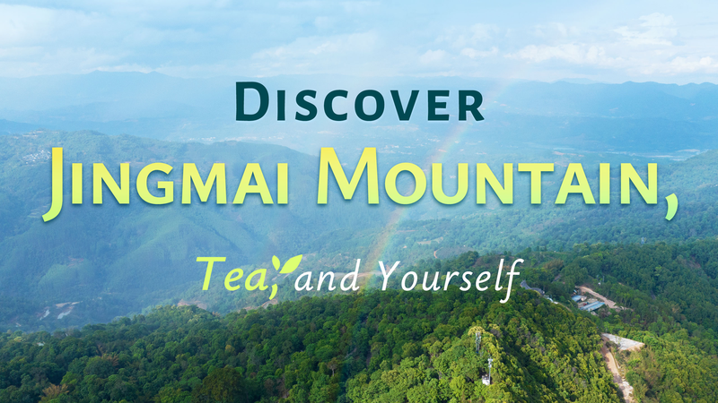 CRTJ1GM37F4ZDIKNG2T0 - 🌍NewspaperAmigo – Your Global News Buddy 🗞️ Sip, Savor, Serenity: Jingmai Mountain’s Tea Culture Beckons 🌿✨ video poster