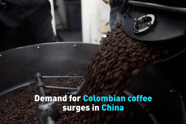 Colombian Coffee Craze Brews in China ☕🇨🇳 Colombian Coffee Craze Brews in China ☕🇨🇳 video poster