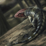 DJJMVAJWNV3XJZKYZAIY - 🌍NewspaperAmigo – Your Global News Buddy 🗞️ 350-Million-Year-Old Footprints Rewrite Land Animal Evolution 🌍🦎