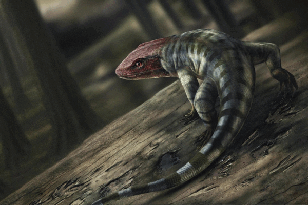 350-Million-Year-Old Footprints Rewrite Land Animal Evolution 🌍🦎 350-Million-Year-Old Footprints Rewrite Land Animal Evolution 🌍🦎
