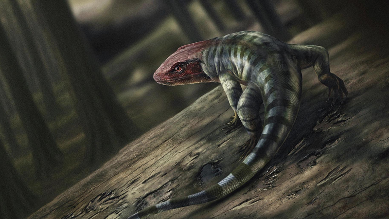 DJJMVAJWNV3XJZKYZAIY - 🌍NewspaperAmigo – Your Global News Buddy 🗞️ 350-Million-Year-Old Footprints Rewrite Land Animal Evolution 🌍🦎